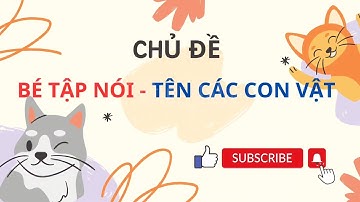 Dạy bé học tên các con vật - Glenn Doman Flash Cards| Tiếng Việt | P1