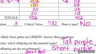 2-4 Linked Genes Chi Square Problem