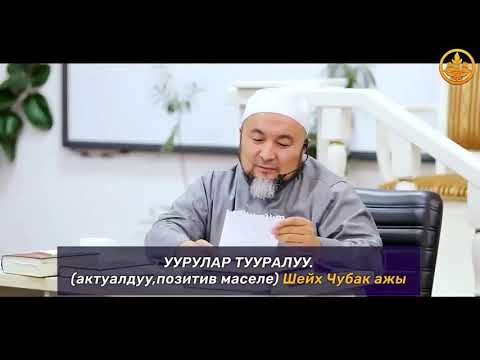 Video: Уурулук жөнүндө ИИМдин протоколун кантип жазса болот