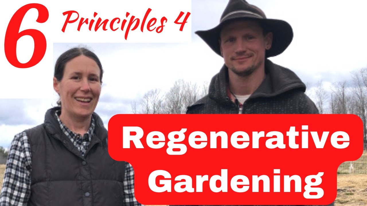 Starting Your Regenerative Garden - 6 Principles for Soil Health - No ...