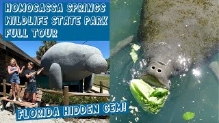 Florida HIDDEN GEM: Homosassa Springs Wildlife State Park FULL TOUR