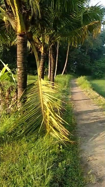 udara pagi
