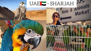 Sharjah Birds & Animal Market / ಶಾರ್ಜಾ Birds ಮಾರುಕಟ್ಟೆ / ದುಬೈ ರಾಷ್ಟ್ರ ಪಕ್ಷಿ ನೋಡಿದ್ದಿರಾ..!!