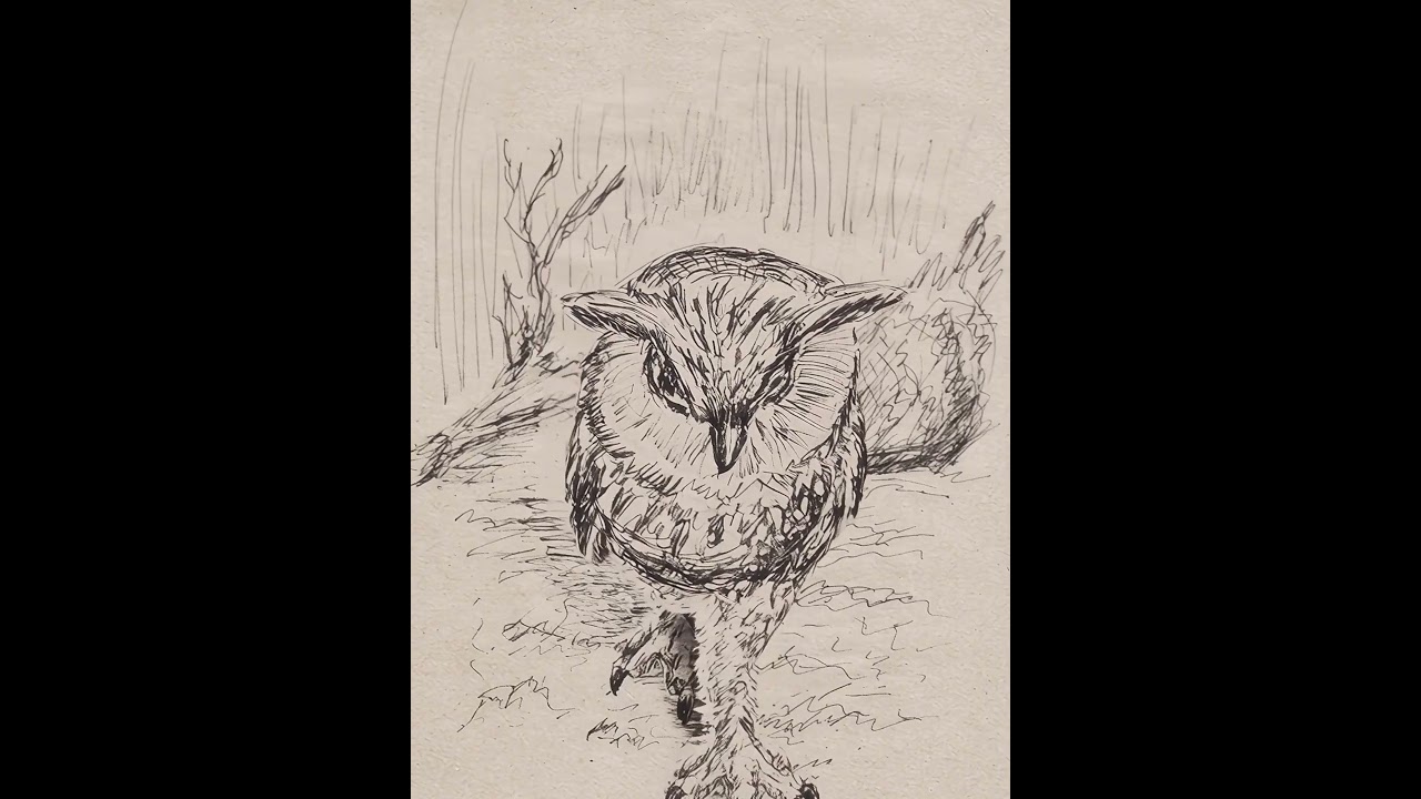 Маленький шаг для совы -- большой шаг для...  