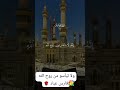ولا تيأسوا من روح الله فارس عباد