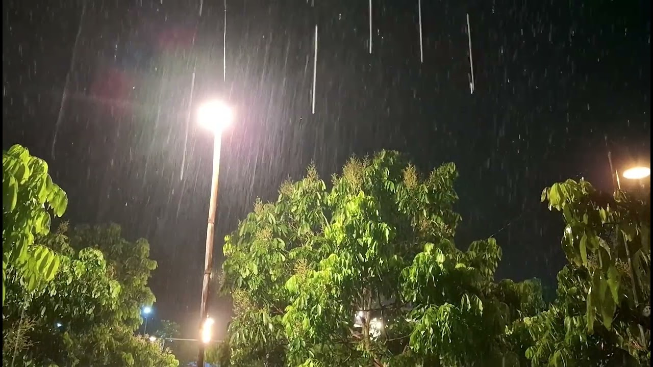 Rain in the Jungle: Relaxing Rain Sound for Deep Sleep, Tropical Nature Noises for Calming