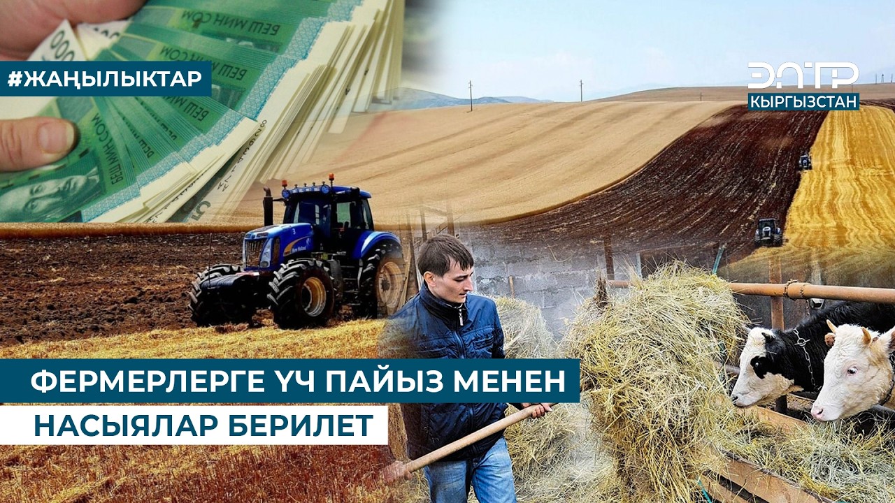 ФЕРМЕРЛЕРГЕ ҮЧ ПАЙЫЗ МЕНЕН НАСЫЯЛАР БЕРИЛЕТ