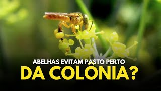 BE CAREFUL with plants NEAR THE COLONY!