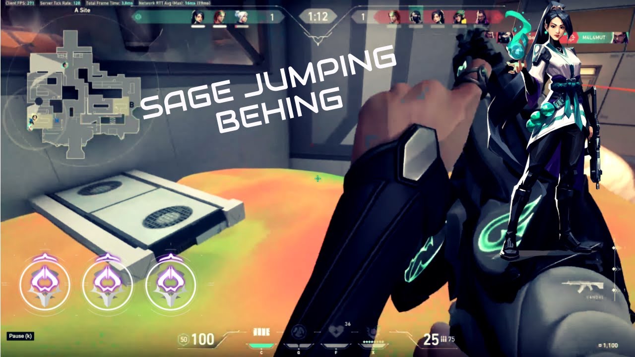 Battle Sage JUMPS AGGRESIVELY INTO VIPERS PIT 