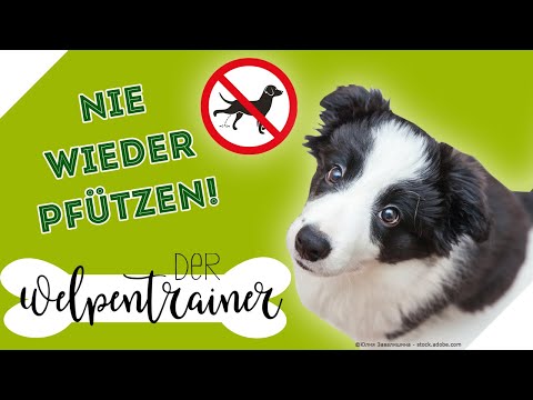 Nie wieder Pfützen!