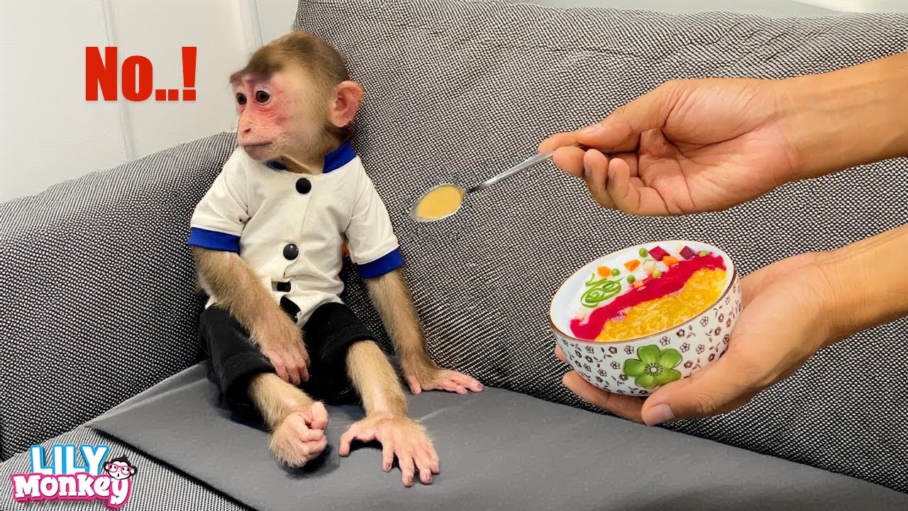 What a sweet moment! Lily gave up her porridge for her sick dad | Lily's story