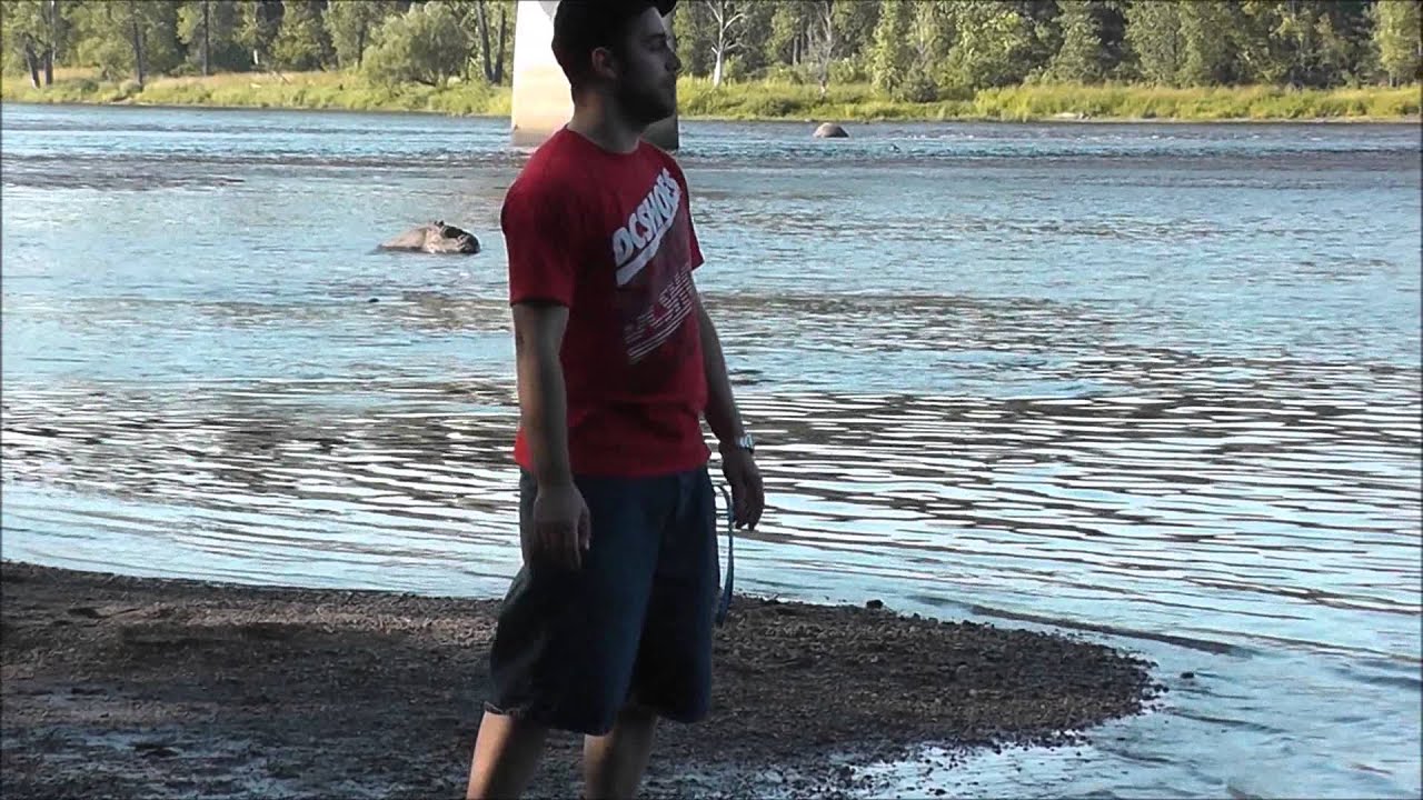 Parody / Shark Attack - Lost Island