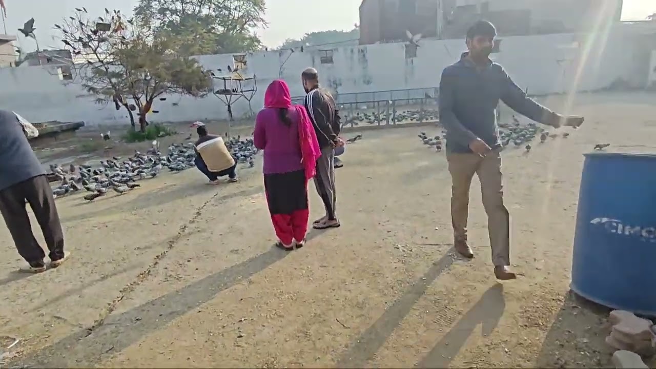 Jharkhand nath mahadev mandir 🙏 