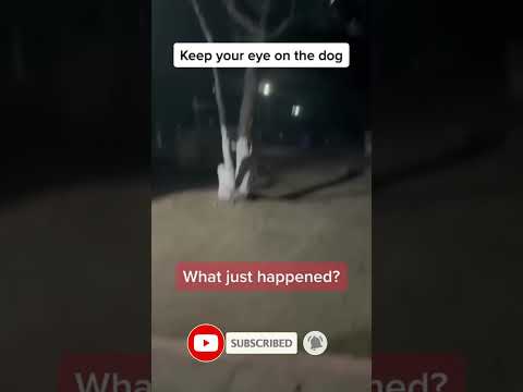 The scariest video 😳😳😳 #shorts #scary #tiktok