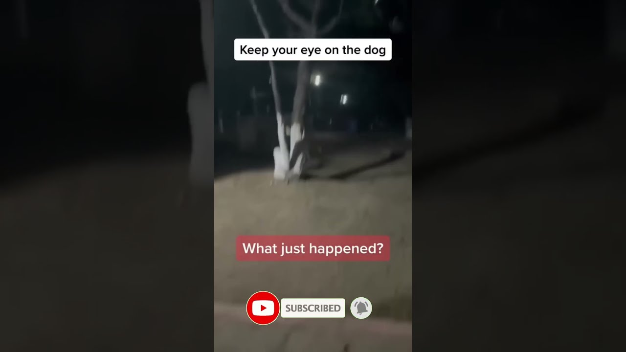 The Scariest Video Shorts Scary Tiktok