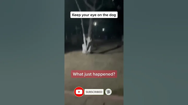 The scariest video 😳😳😳 #shorts #scary #tiktok