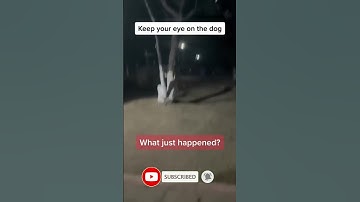 Thumbnail of The scariest video 😳😳😳 #shorts #scary #tiktok