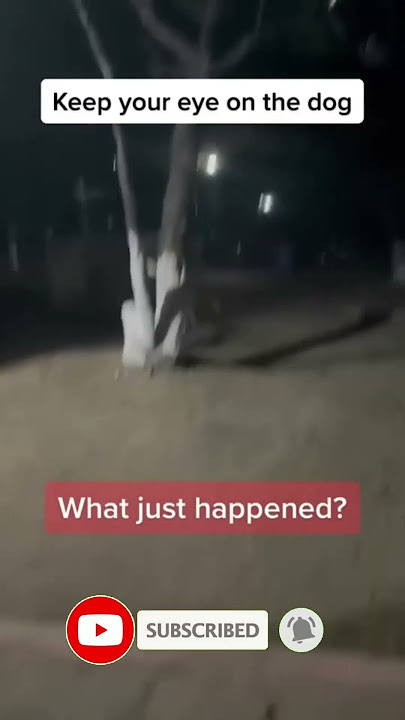 The scariest video 😳😳😳 #shorts #scary #tiktok