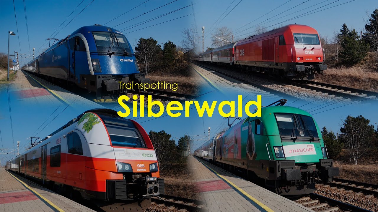 REX8 Umleiter, Dostos, railjets, uvm. in Silberwald | Trainspotting #25