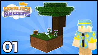 I started the First Skyblock SMP!  Skyblock Kingdoms Ep. 1