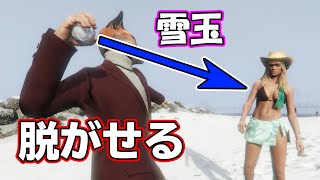 【GTA5】雪玉を使えば、ビキニを排除できるらしい！【検証】