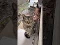 つくしちゃんを口説いた日