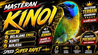Masteran CUCAK KINOI DURASI PANJANG 2 JAM - Kombinasi BELALANG EMAS dan KUNTI - Suara Jernih