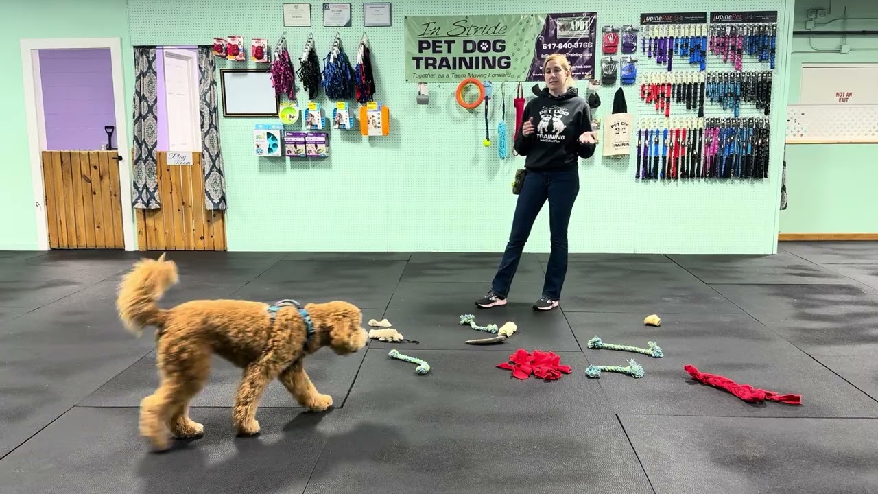 Bernie - Take it and Drop it/Out/Give Practice Information & Tips.