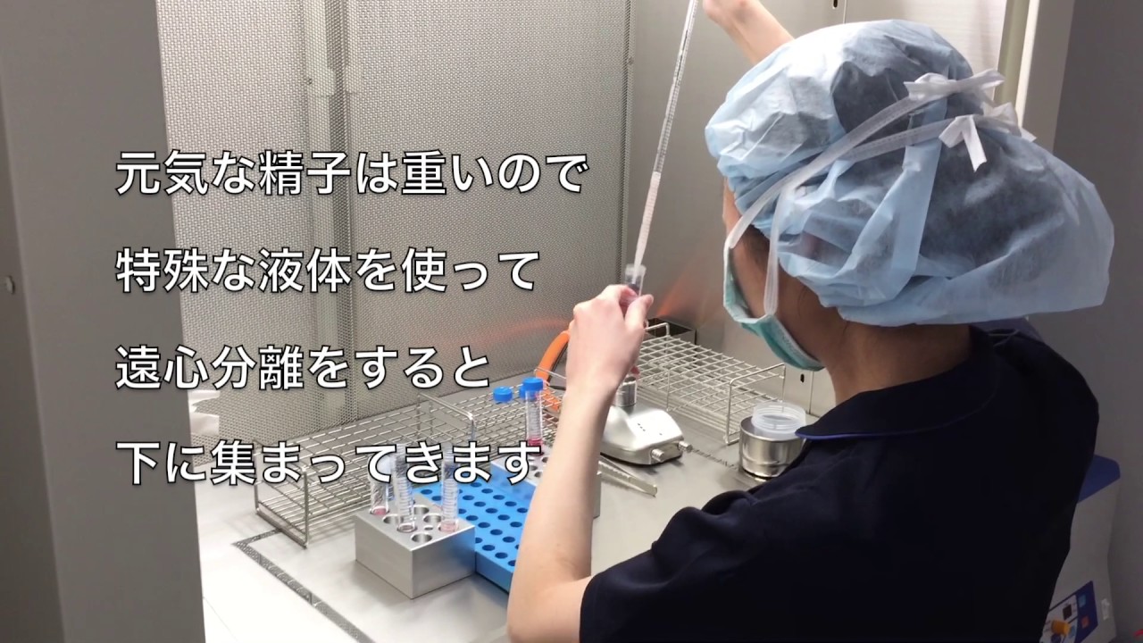 ウィメンズクリニック本町　培養室のお仕事紹介