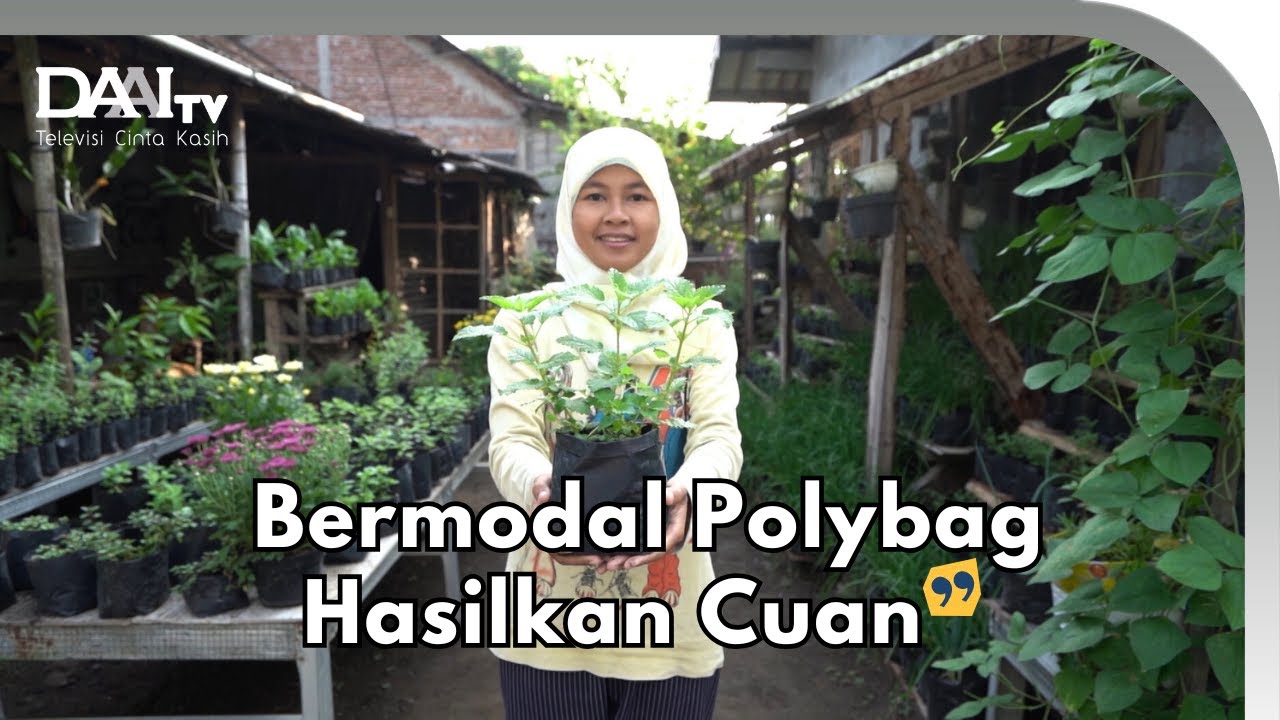 Berkebun Bikin Bahagia Tanpa Validasi Orang Lain - Kebun Elisa