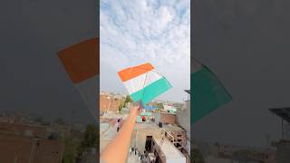 Cheapest vs expensive kite 😱🪁 #kite #kiteflying #patang #patangbazi