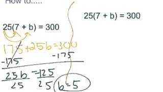 Celebrity 3-8 Multi-Step Equations with Grouping Symbols Wealth
