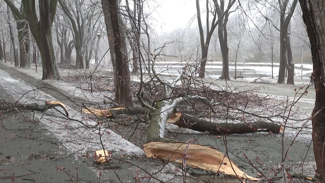 Two dead, over a million without power after ice storm hits Canada ...