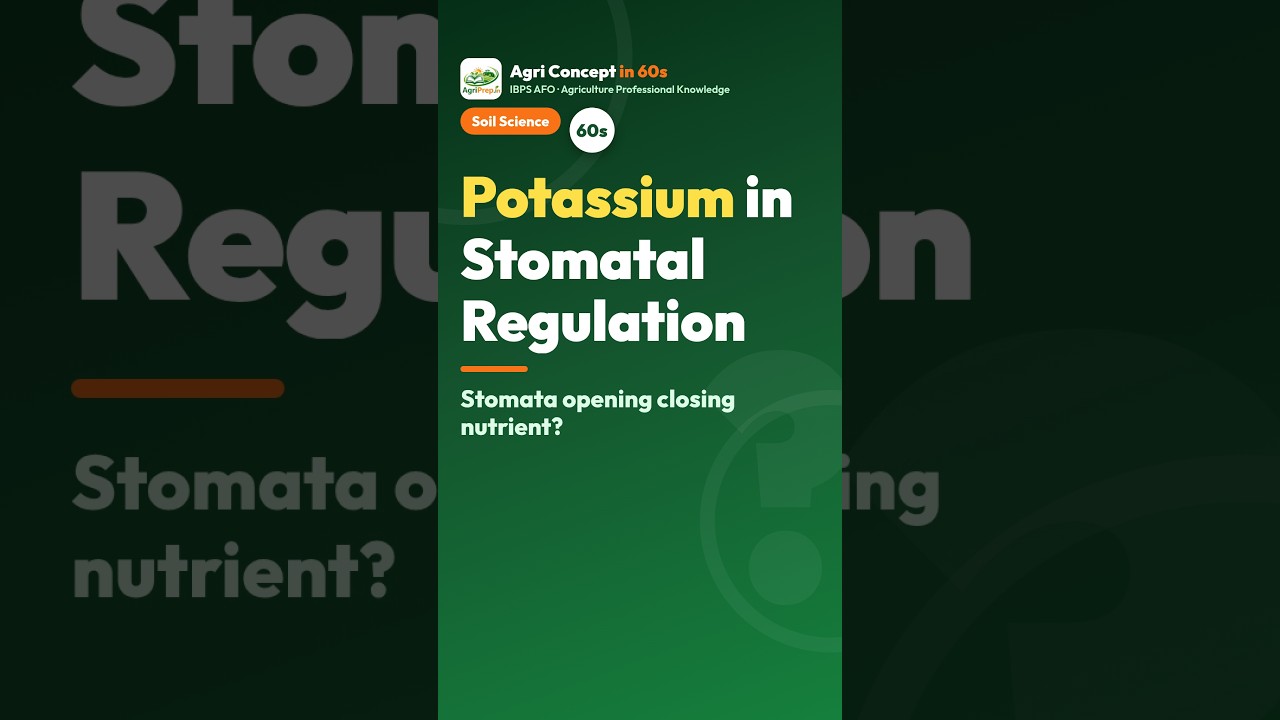 Role of Potassium in Stomata | IBPS AFO #Shorts