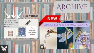 Dragonfly Spirit Animal Meaning Catching Light Like Prisms Of A Rainbow And Reflecting It Back.