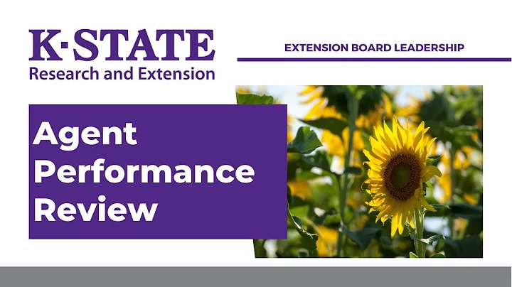 Agent Performance Review