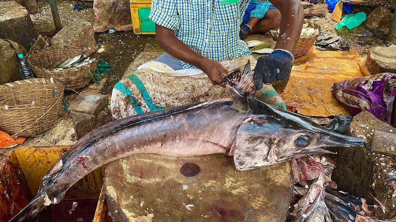 Panni Kola Fish Round Slicing Video/Fish Cutting Video