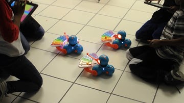 Dash and Xylo Captivate the students