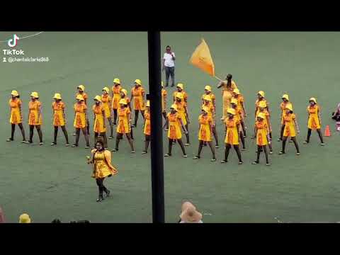 st. Charles secondary sports day 2024 2nd place (yellow  team)