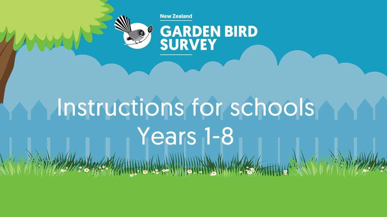 NZ Garden Bird Survey: Instructions for schools Years 1-8