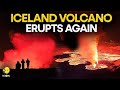 LIVE: Iceland volcano erupts again, molten rocks spew from fissures | WION LIVE