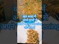 कम बजट में अपने हाथों से अपने घर या बगीचे को सजाएं /DIY/Best out of waste