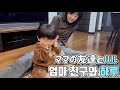 [생후12개월]일본 이모,이모부를 푹 빠지게 하는 하루 [生後12ヶ月]日本のおばさん、おじさんをメロメロにするハル