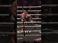 Pitbull Cruz vs Roach last 10 seconds of the fight 🔥 #boxing #boxinghighlights #pitbullcruz