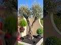 Genius Garden Decor Ideas You Must Try