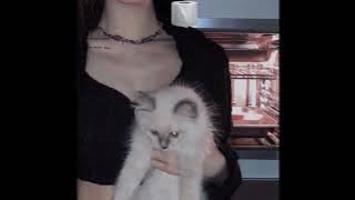 IMIS! x DeeKay - LILY!