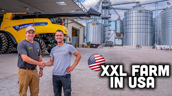 🇺🇸 USA : UNE JOURNÉE AVEC UN CÉRÉALIER XXL DE CHICAGO !