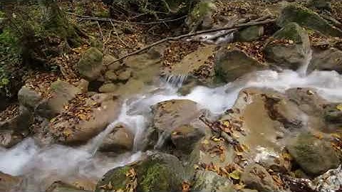 تلاوة عذبة لسورة مريم# مع صوت الماء والعصافير# مريحه وهادئه