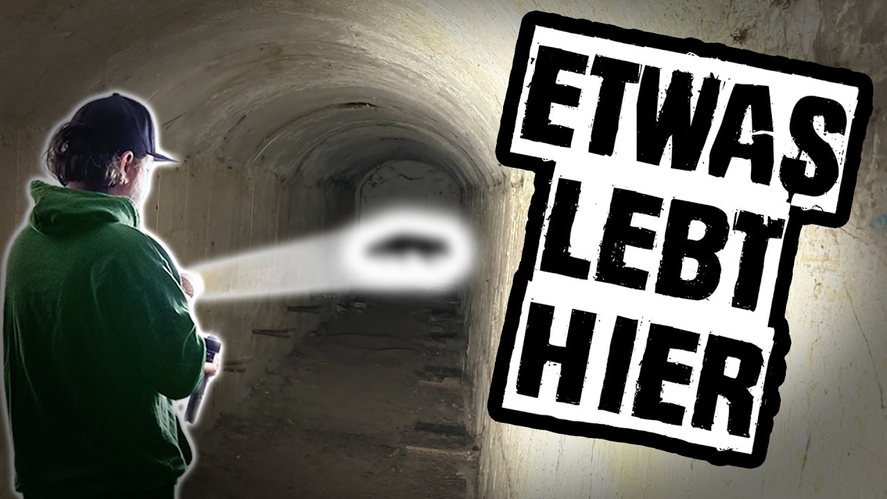 Unerwarteter Fund 🔎 Ausgebauter Luftschutzbunker aus dem Zweiten Weltkrieg