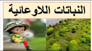 النباتات اللاوعائية احياء